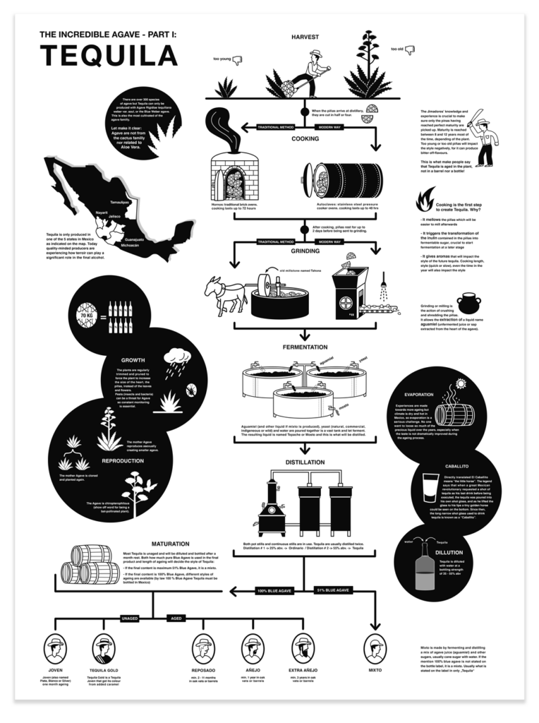 Briceno, Infographic;poster, Illustration, Tequila, Spiritsfully