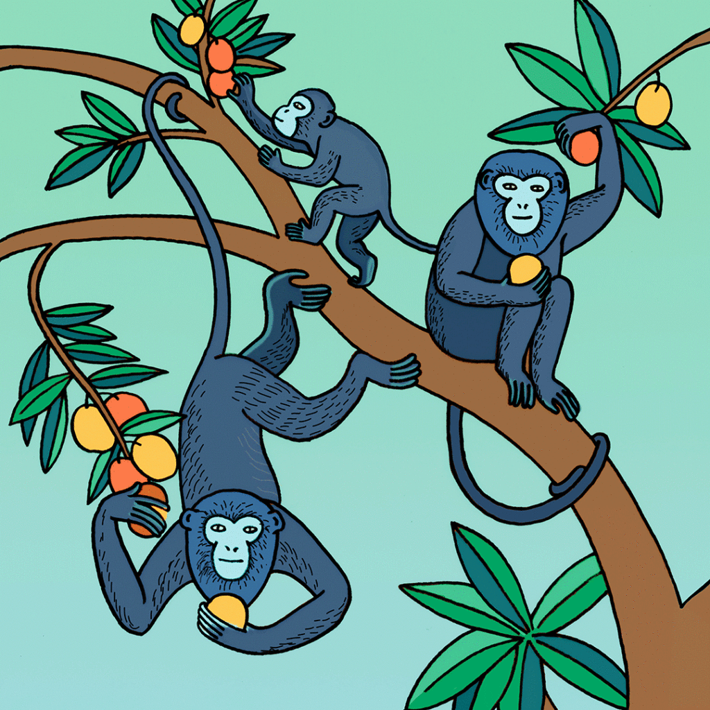 Briceno, Illustration, Monkey, Nature