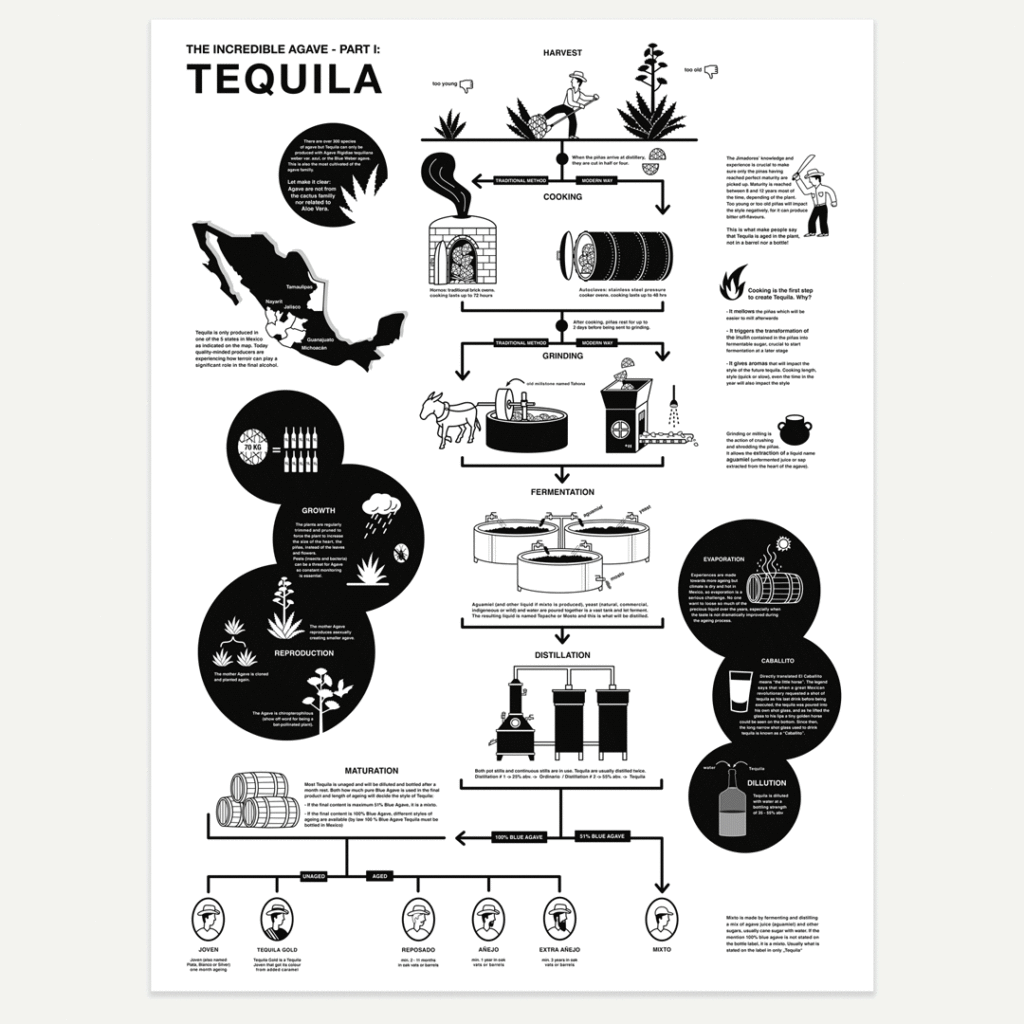 Infographic, Flowchart, Ana Briceno, Visual Communication, Design, Illustration, Spiritsfully